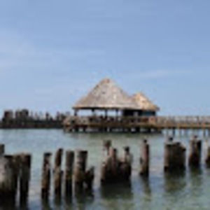 Meet your Posher, Toniann